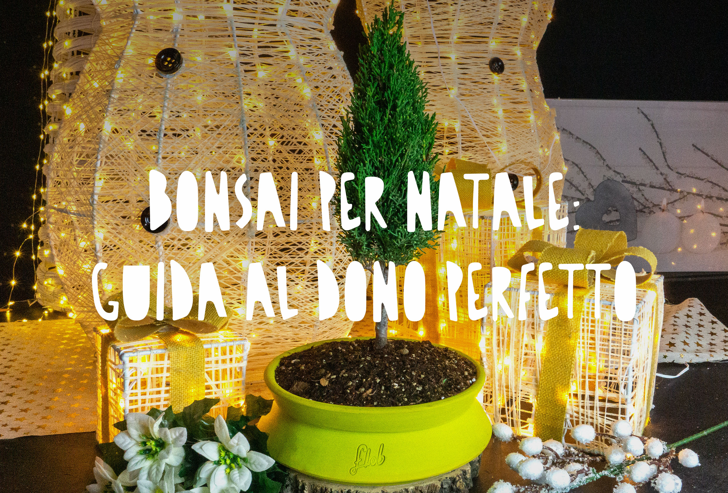 Bonsai di cipresso con sfondo natalizio e luci